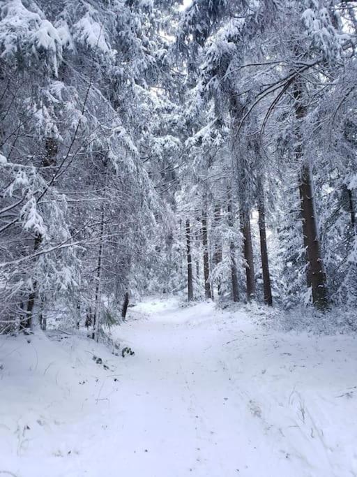 Wohnung Im Schoenen Fichtelgebirge Marktredwitz Bagian luar foto